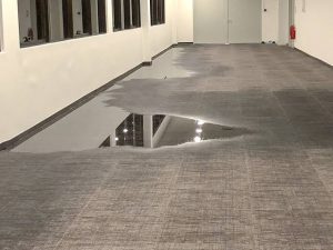 Wet office carpet