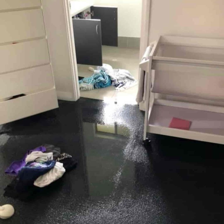 water damage carpet