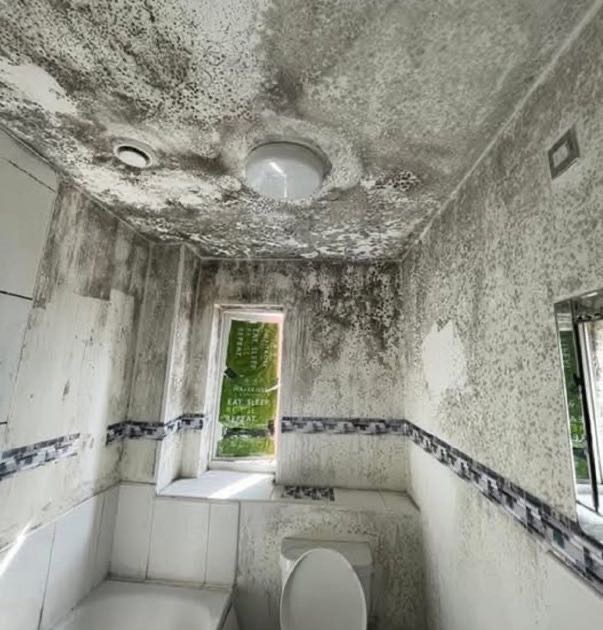 Bathroom mould caused by moisture issues in an Australian home