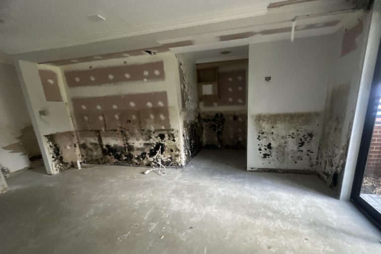 mould remediation Perth