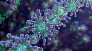 Mould Testing Laboratory